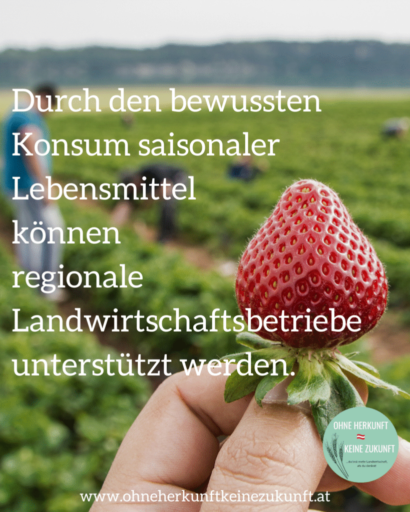 Wer beim Einkauf von Erdbeeren auf heimische Ware wartet, wird mit überragendem Geschmack belohnt und unterstützt die regionale Landwirtschaft